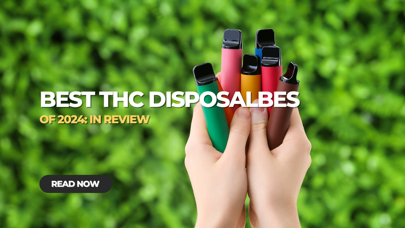 Best THC Disposable Vapes of 2024