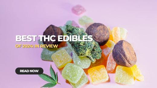 Best THC Edibles of 2024