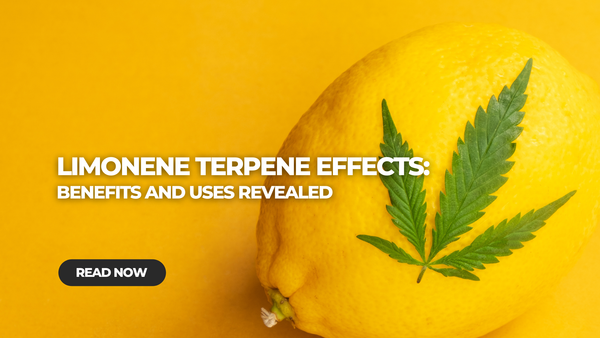 Limonene Terpene Effect