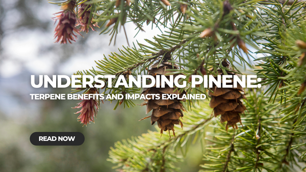 Pinene Terpene