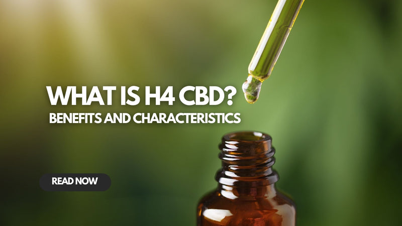 What is H4-CBD