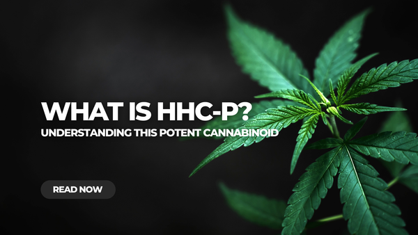 What is HHC-P