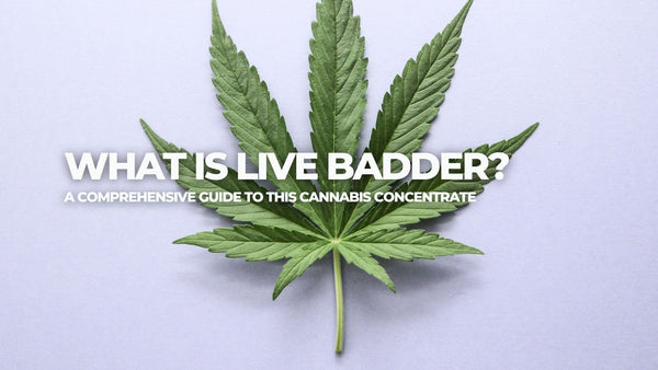 What is Live Badder