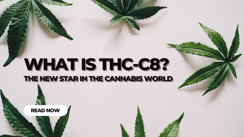 What is THC-C8?