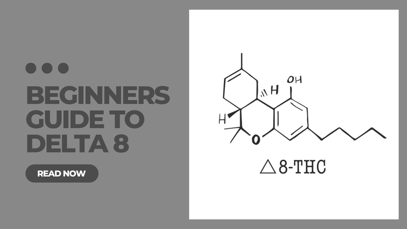 Beginner's Guide to Delta 8