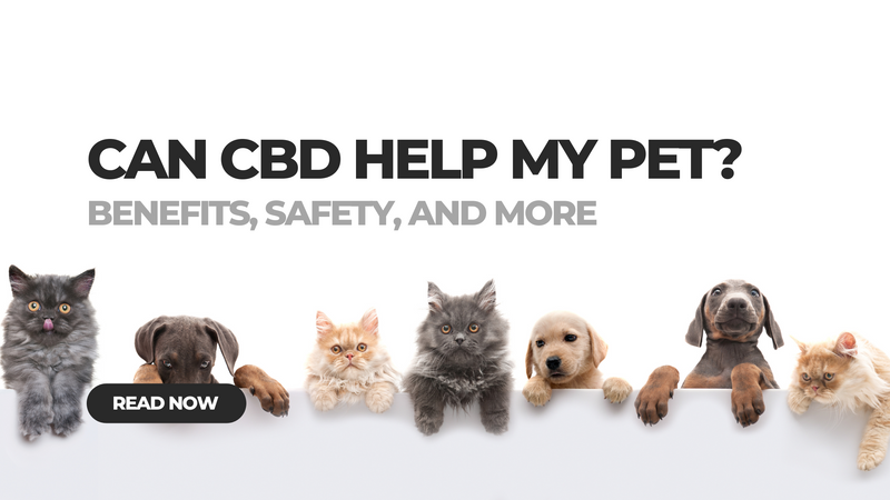 Can CBD help my pet?