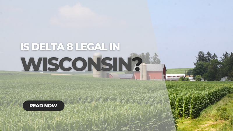 Is Delta 8 THC legal in Wisconsin?