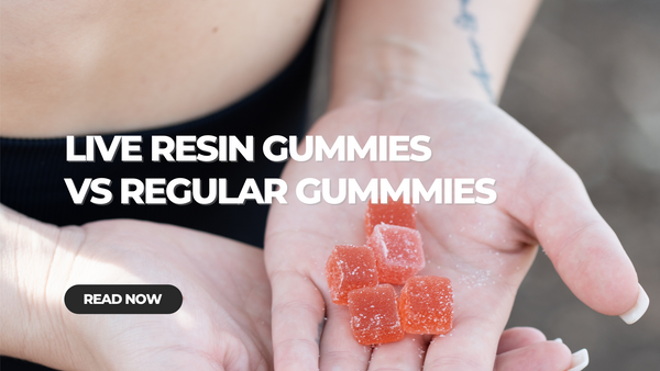 Live Resin Gummies vs Regular Gummies