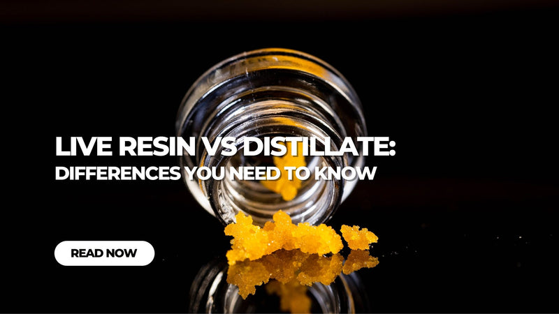 Live Resin vs Distillate