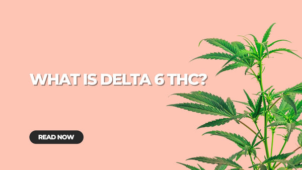 What is Delta 6 THC?