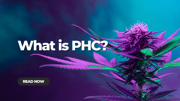 What is PHC? An Introduction to a Unique Cannabinoid