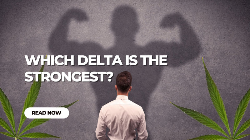 Which Delta is the Strongest?