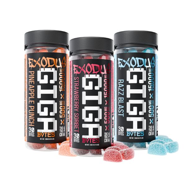 Three bottles of Exodus Gigabytes Gummies | 15000mg, labeled Pineapple Punch, Strawberry Sorbet, and Razz Blast, are displayed with several gummies placed in front. Each bottle contains gummies infused with THC-P for a potent experience.