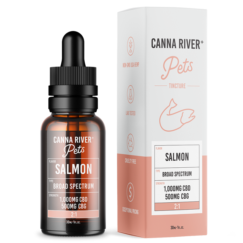 A bottle of Canna River CBD Pet Tincture is placed next to its packaging, highlighting a powerful formulation with 1,000mg of CBD combined with 500mg of CBG in a 2:1 ratio. This outstanding option among CBD pet tinctures offers balanced wellness for your beloved pets.