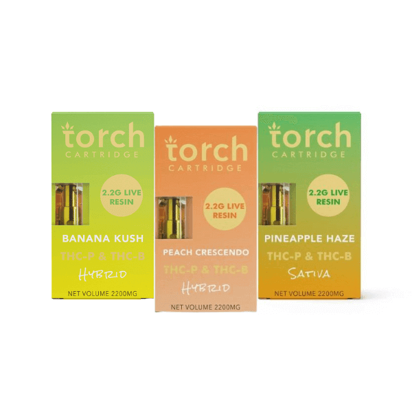 Three Torch Vape Cartridge THC-P + THC-B | 2.2g from Torch are displayed side by side. The flavors listed are Banana Kush, Peach Crescendo, and Pineapple Haze. Each 510 vape cartridge indicates 2.2g live resin with a THC-P and THC-B blend.